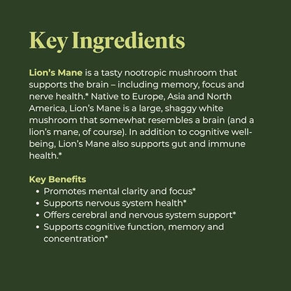 Mind Capsules | Organic Lion’s Mane Mushroom Brain Supplement | Focus & Memory Supplement | Lions Mane Supplement Capsules, 1000mg per Serving, 120 Capsules (60 Servings)