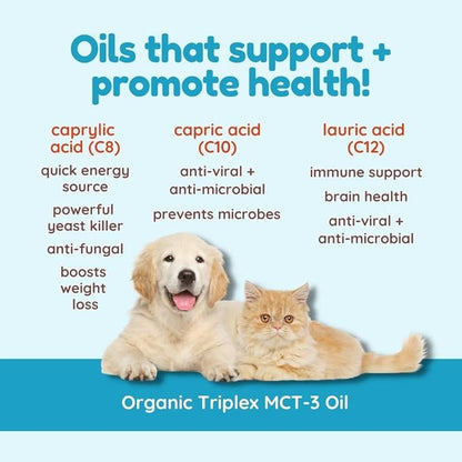CocoTherapy Triplex MCT-3 Oil, Non-GMO, 100% Pure and Natural, 8 oz.