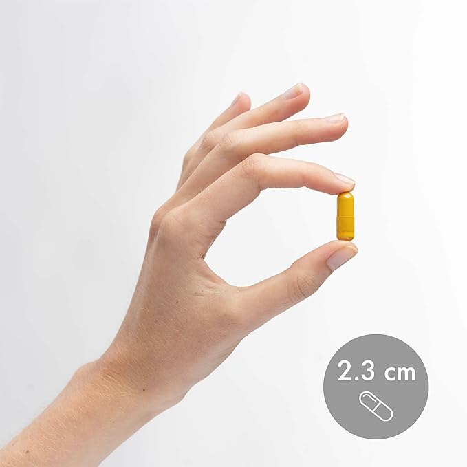 Dr. Mercola Organic Fermented Turmeric - 370 mg Fermented Turmeric - High-Bioavailability Curcuminoids - USDA Organic, Non-GMO, Gluten-Free & Soy-Free - 180 Capsules (90 Servings)