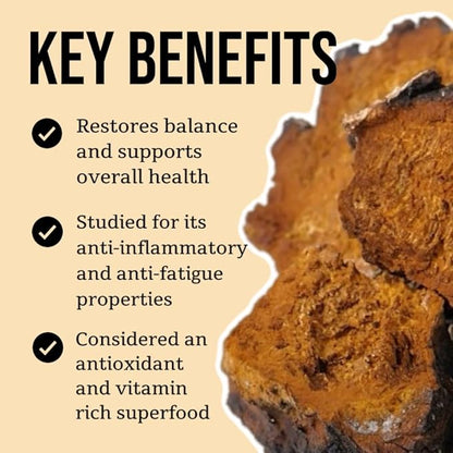 North Spore Chaga Mushroom Tincture | Energy & Wellness Boosting Supplement Drops | Adaptogenic Superfood | Dual Extract Organic Blend, 100% Fruiting Bodies | Non-GMO, Vegan - 2oz