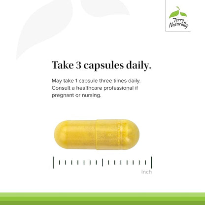 Terry Naturally Curamin Low Back Pain Relief - DLPA & Curcumin Supplement for Relief Support - Enhanced Absorption Curcumin Formula - Herbal Supplement with White Willow & Boswellia - 60 Capsules