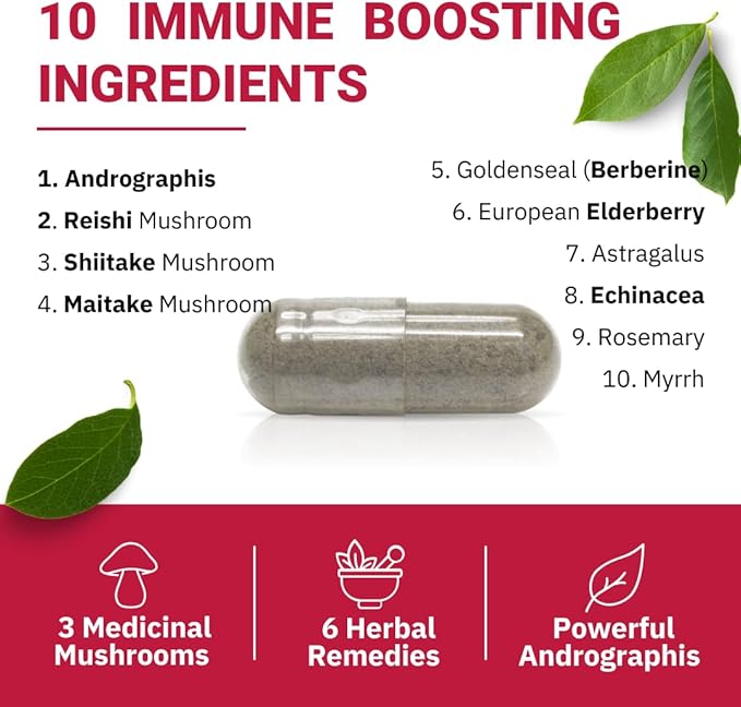 IMMUNE DEFENCE | Andrographis & Astragalus, Powerful Immune Support Supplement with 4 Extra Herbals: Elderberry, Echinacea, Goldenseal, Rosemary | Reishi, Shiitake, Maitake Mushroom (30 Capsules)