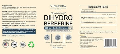 Dihydroberberine Supplement 500mg with Ceylon Cinnamon - (Patented GlucoVantage Super Berberine), Maybe Berberine 5X More absorbable - 30 Capsules
