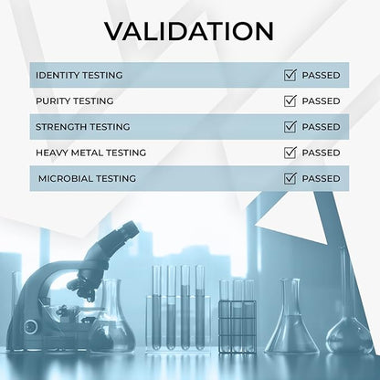 High Potency Milk Thistle Extract Capsules | 200mg of Silymarins from Silybum marianum | 60 Count