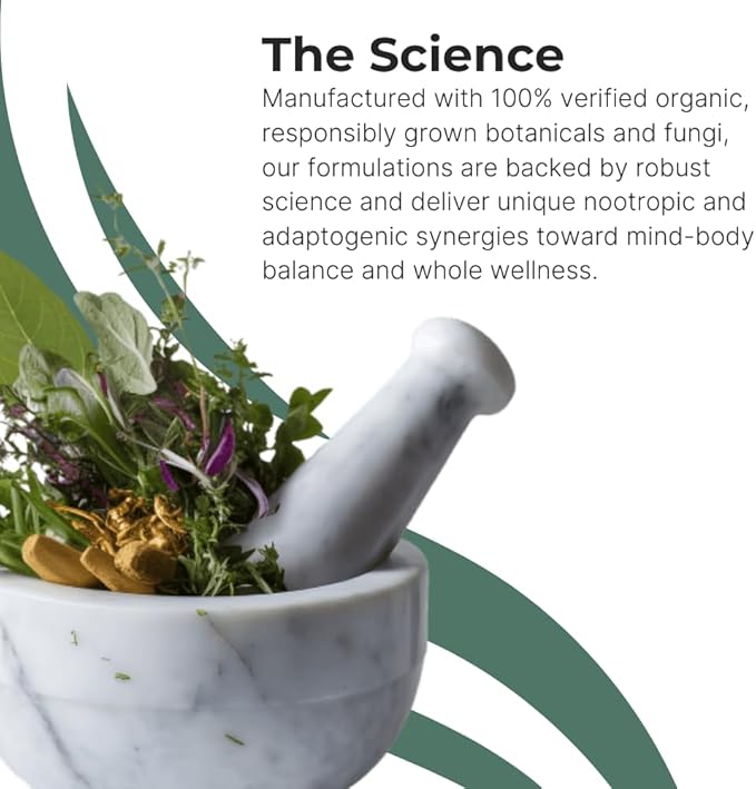 INTENTION Mushroom & Botanical Supplement by Setas – Organic Chaga & Cordyceps, Rhodiola & Ginger to Support Cognitive Function, Mental Focus, & Memory, Vegan & Non-GMO, 60-Day Supply