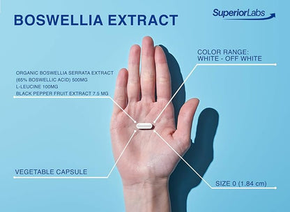 Superior Labs Boswellia Extract - Pure Non GMO Boswellic 65% Acids. Superior Absorption Zero Synthetic Additives - Powerful Formula Joint, Knees, HIPS, Immune, 500mg SVG, 240 Veg Capsules