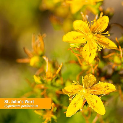 Herb Pharm St. John's Wort Liquid Extract for Positive Mood and Emotional Balance, Cane Alcohol, 1 Ounce