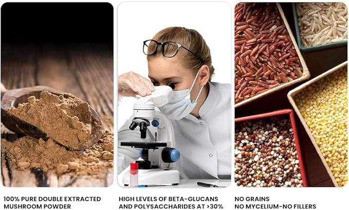 Ellie's Best 7 Mushroom Powder Extract Organic Blend - Reishi, Lion's Mane, Chaga, Turkey Tail, Cordyceps, Maitake & Shiitake - Double Extracted - Pure No Fillers - 8oz / 228 1g Servings……