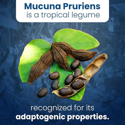 Well of Life: Mucuna Pruriens 60 Veggie Capsules, Supplement for Relaxation, Mood & Well-Being, 15% Extract Natural, USA Made, No Color Added No Artificial Ingredients & Non-GMO