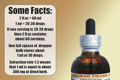 Horehound Alcohol-Free Liquid Extract, Organic Horehound (Marrubium vulgare) Dried Herb Glycerite 2 oz