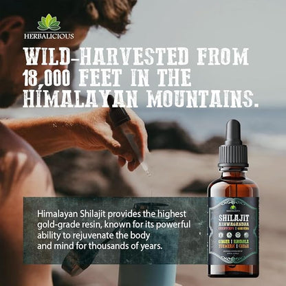 Shilajit Liquid Supplement with Ashwagandha, Cordyceps, Ginseng, Rhodiola, Turmeric, Chaga & Ginger – 8-in-1 Adaptogenic Herbal Drops for Energy, Stress Relief, Focus & Immune Support 4 fl oz