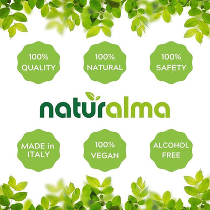 Naturalma Ginkgo (Ginkgo biloba) Leaf Alcohol-Free Tincture - 16.9 fl oz Liquid Extract in Drops - Herbal Supplement - Vegan