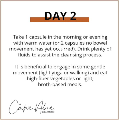 Cape Aloe Ferox Fiber Bitter 90 Capsules | Powerful 3-Day Cleanse | Potent 100% Organic Cleanse for Your Gut and Colon | Helps with Bloating, Gas, Constipation | Feel Lighter and More Engerized