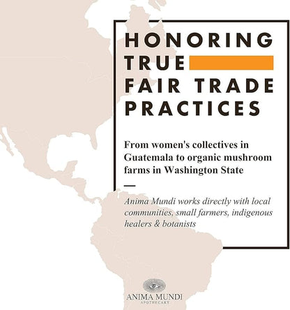 Anima Mundi Apothecary Soma 7 Mushroom Adaptogenic Elixir - Mushroom Liquid Extract Tincture with Reishi, Chaga, Lions Mane & Cordyceps - Vegan Immune Support Tincture (2oz)
