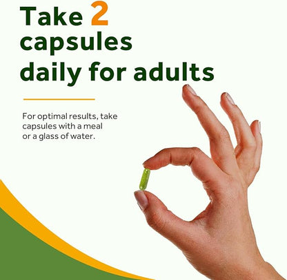 Doctor's Recipes Moringa 11,000 mg Strength, Complete Green Superfood, Natural Antioxidant Support, Non-GMO, 90 Vegan Caps, No Caffeine Soy Gluten