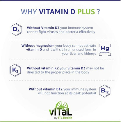 Vegan Vitamin D3 Plus with Magnesium, B12, K2 - High Potency Food-Based Immune Support, Bone Health & Mood Balance Supplement - 60 Easy-to-Swallow Capsules for Adults and Kids