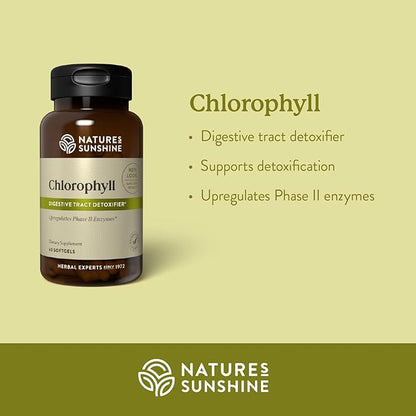 Nature's Sunshine Chlorophyll, 60 Softgel Capsules: Support Digestion, Immunity & Detoxification with Internal Deodorant Benefits. Easy-to-Swallow Capsules Promote Overall Well-Being & Energy