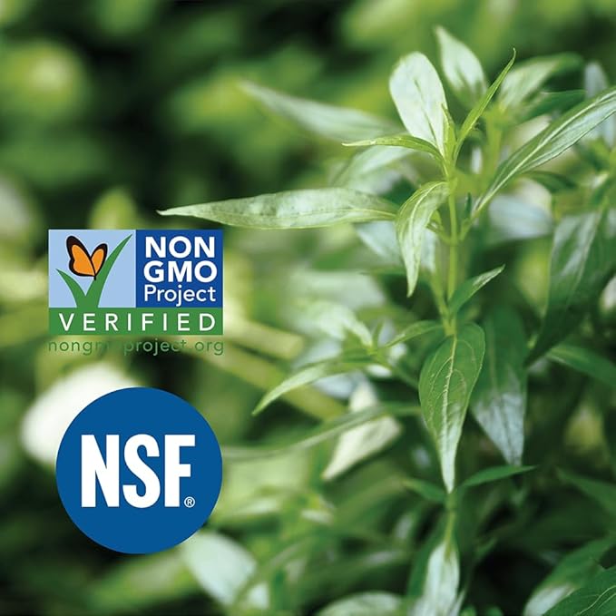 Incas Andrographis Capsules Max Andrographides - 1,000mg Serving Size (120 Capsules) - Clinically Studied for Immune System Health & Non GMO Verified by NSF