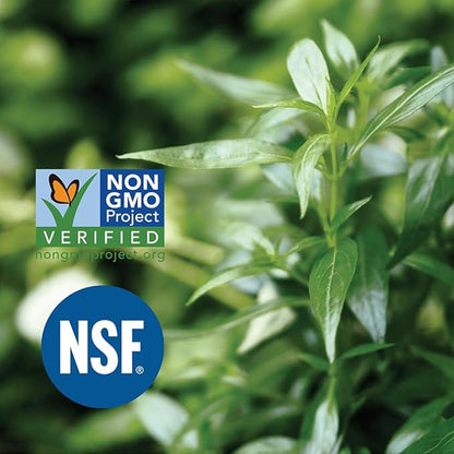 Incas Andrographis Capsules Max Andrographides - 1,000mg Serving Size (120 Capsules) - Clinically Studied for Immune System Health & Non GMO Verified by NSF