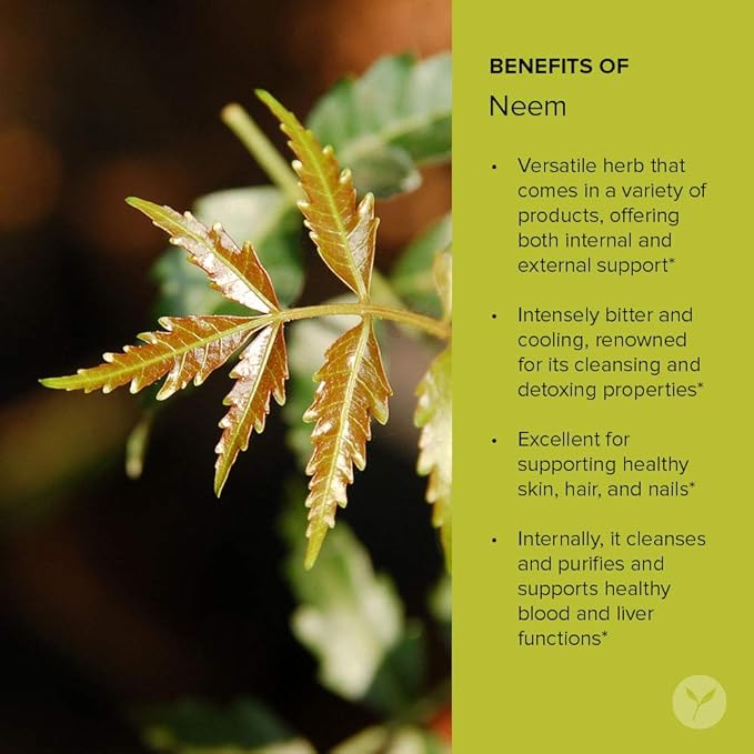 Banyan Botanicals Neem Powder - Organic Azadirachta Indica - Purifying Ayurvedic Herb for Healthy Skin & Blood* – 1/2 lb. – Fair for Life Sustainably Sourced Non-GMO Vegan