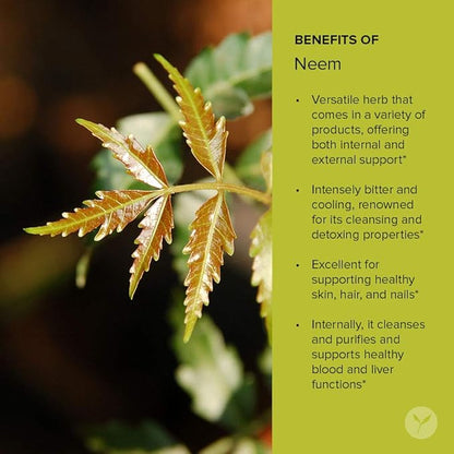 Banyan Botanicals Neem Powder - Organic Azadirachta Indica - Purifying Ayurvedic Herb for Healthy Skin & Blood* – 1/2 lb. – Fair for Life Sustainably Sourced Non-GMO Vegan