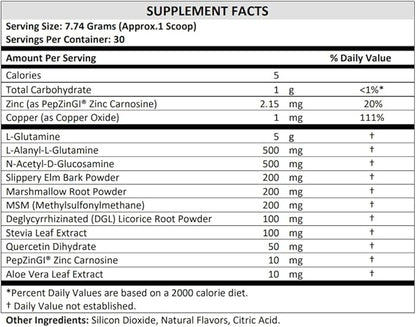 TERRA ORIGIN Healthy Gut Powder (Honey Lemon) | 30-Servings with L-Glutamine, Zinc, Glucosamine, Slippery Elm Bark and More!