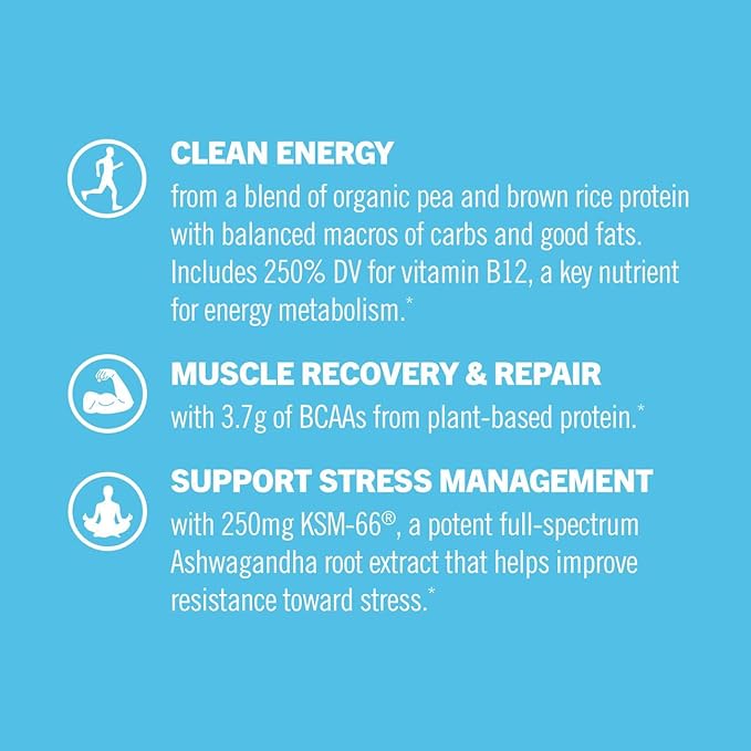 OM MUSHROOM SUPERFOOD Master Blend Mushrooms & Adaptogens, Creamy Vanilla Plant Protein, Single Serve, 10 Count, 10 Mushroom Complex, Lion's Mane, Ashwagandha for Energy, Recovery, Stress Relief