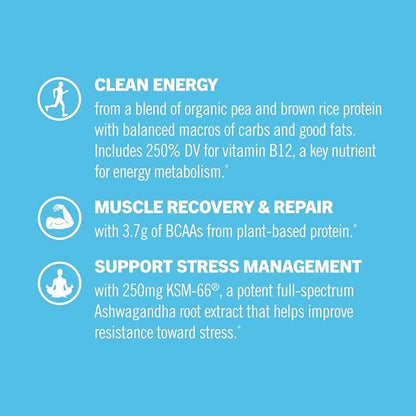 OM MUSHROOM SUPERFOOD Master Blend Mushrooms & Adaptogens, Creamy Vanilla Plant Protein, Single Serve, 10 Count, 10 Mushroom Complex, Lion's Mane, Ashwagandha for Energy, Recovery, Stress Relief