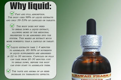 Rehmannia Alcohol-Free Liquid Extract, Organic Rehmannia (Rehmania Glutinosa) Dried Root Glycerite Natural Herbal Supplement, Hawaii Pharm, USA 2 fl.oz