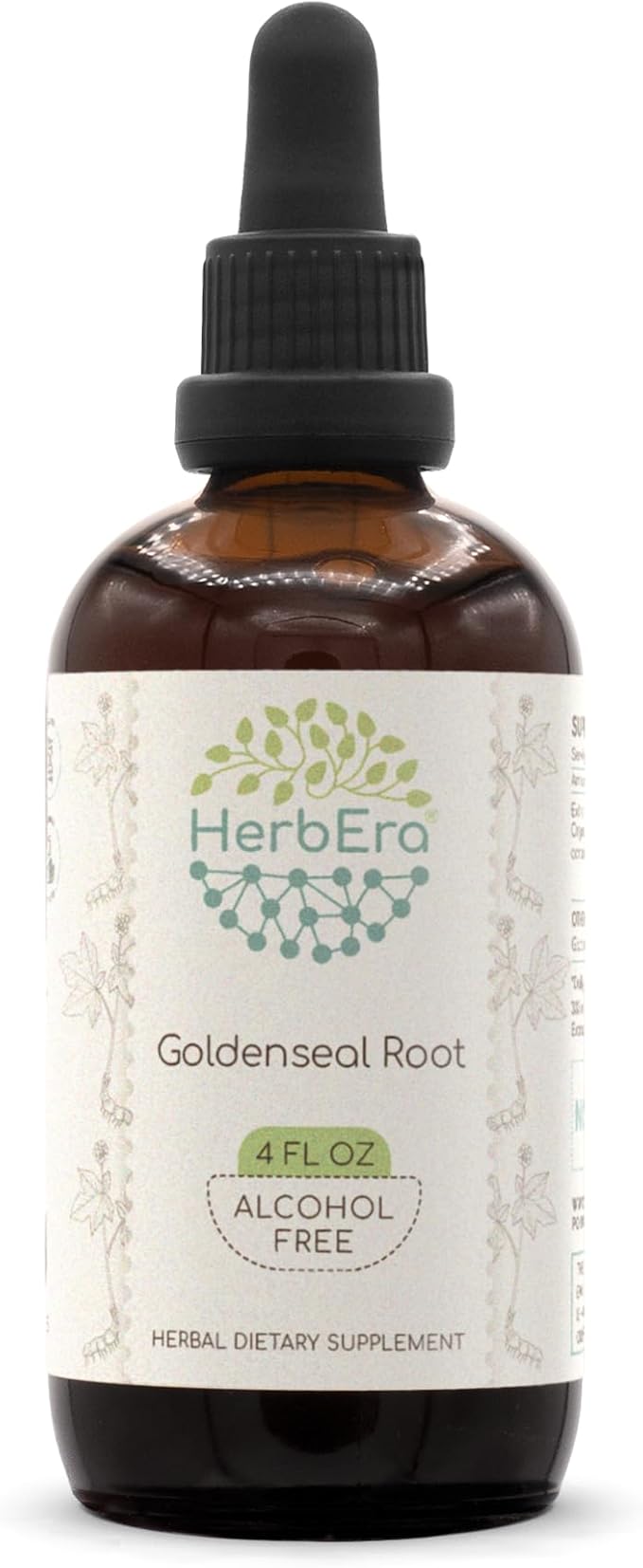 Goldenseal Root B120 Alcohol-Free Herbal Extract Tincture, Super-Concentrated Responsibly farmed Goldenseal (Hydrastis Canadensis) (4 fl oz)