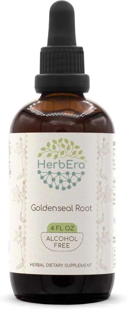 Goldenseal Root B120 Alcohol-Free Herbal Extract Tincture, Super-Concentrated Responsibly farmed Goldenseal (Hydrastis Canadensis) (4 fl oz)