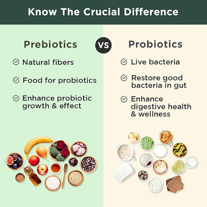 BB Company Previtalize | Prebiotics for Women, Prebiotic Fiber for Gut Health, Digestive Health | Food for Good Probiotics | Complement to Probiotics & Provitalize | Packaging Vary | 60 Ct