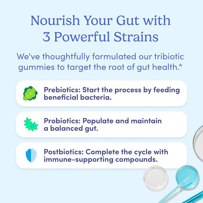 FIRST DAY Men’s Gut Guardian Tribiotic Gummies – 3-in-1 Prebiotic, Probiotic & Postbiotic Supplement – Supports Digestive & Oral Health, Immune Function & Energy Levels – 30-Day Supply