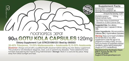 Nootropics Depot Gotu Kola Extract Capsules | 120mg | 90 Count | Acid Resistant | Centella asiatica | 35-45% Triterpenes | Supports Healthy Stress Levels | Promotes Memory Enhancement