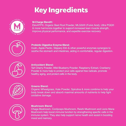 L'Evate You Vitality Daily Greens, Variety Pack (3 Bags, 84 Servings) 30 Superfoods, 9 Greens - for Cellular Energy Boost, Powered by M-Charge Complex for All Day Energy