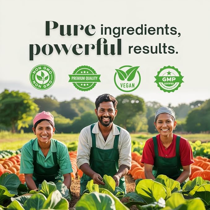 Ashwagandha Shilajit Bacopa Capsules Stress Support, Cognitive Support, Digestive Health with Turmeric, Amla & Triphala – GMP Certified, Non-GMO, Vegan – 30 Count