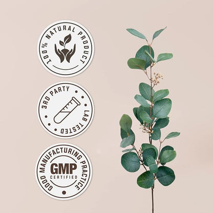 Bacopa USDA Organic | Alcohol-Free Extract, Organic Herbal Drops, Supplement, Relaxation, Positive Cognitive Effect | Tincture Made from 100% Organic Bacopa (Bacopa Monnieri) Dried Herb 2 oz