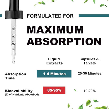 Glucosamine Chondroitin MSM Liquid Drops-w/Elderberry, Boswelia &Hyaluronic Acid-Extra Strength Joint Support Supplement for Mobility, Flexibility & Bones,High Absorption,60ml (2 fl oz)