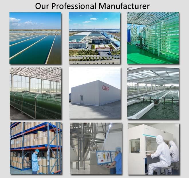 Chlorella Tablets with Broken Cell Wall, Canada, 500mg 300 Counts