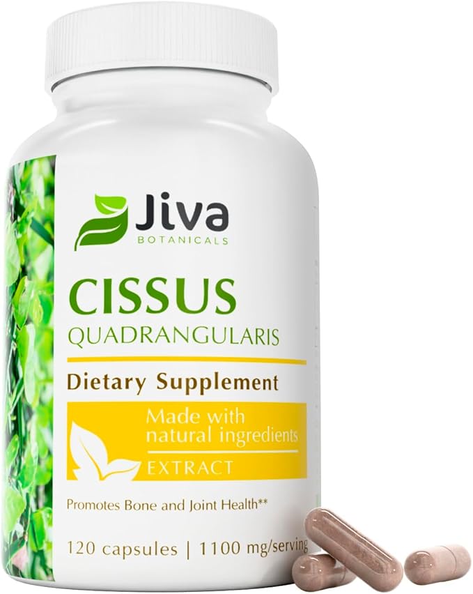 Jiva Botanicals Cissus Quadrangularis Capsules 550 mg - High Potency Cissus Powder Extract for Normal Bone Health & Normal Joint Support - Made in The USA - 120 Capsules