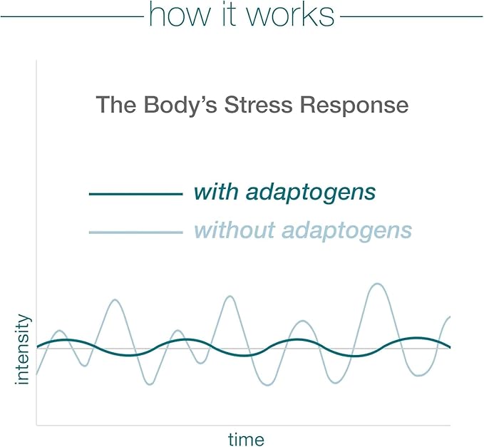 Youtheory Ashwagandha Liquid - Uses KSM-66 - Ashwagandha Supplement to Support Stress Relief* - Vegan - Dairy, Soy & Gluten Free - 12 Single-Serving Packets