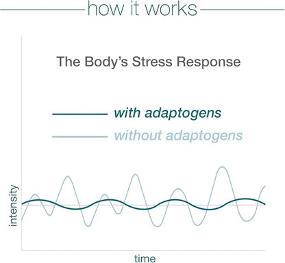 Youtheory Ashwagandha Liquid - Uses KSM-66 - Ashwagandha Supplement to Support Stress Relief* - Vegan - Dairy, Soy & Gluten Free - 12 Single-Serving Packets
