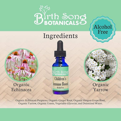 Children's Immune Boost Tincture*, Kids Immune System Support Supplement with Echinacea, Liquid Herbal Immune Drops for Kids, Children's Echinacea Herb Immune Formula 1oz Bottle