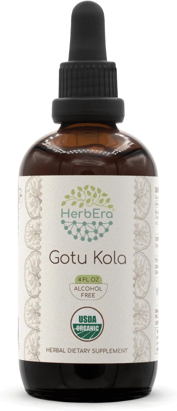 Gotu Kola B120 USDA Organic Tincture | Alcohol-Free Extract, High-Potency Herbal Drops | Certified Organic Gotu Kola (Centella asiatica) Dried Herb (4 oz)