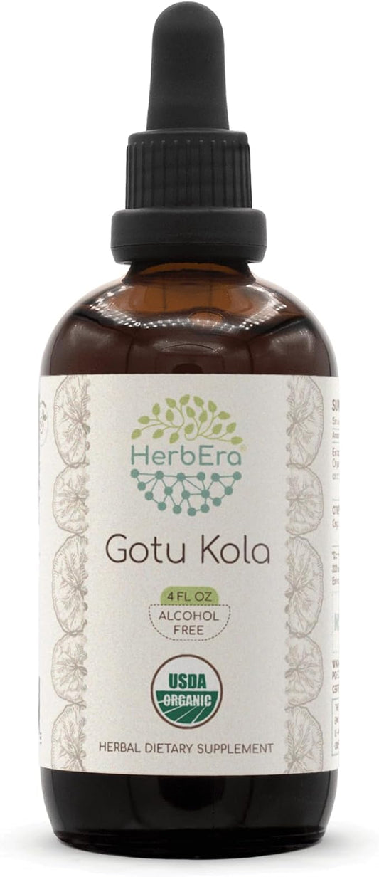 Gotu Kola B120 USDA Organic Tincture | Alcohol-Free Extract, High-Potency Herbal Drops | Certified Organic Gotu Kola (Centella asiatica) Dried Herb (4 oz)
