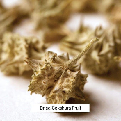 Banyan Botanicals Gokshura Powder– Organic Tribulus Terrestris Fruit – Rejuvenating Tonic for Kidney & Adrenal Health, Stress, and Male Vitality* – ½lb. – Non-GMO Fair for Life Fair Trade Certified