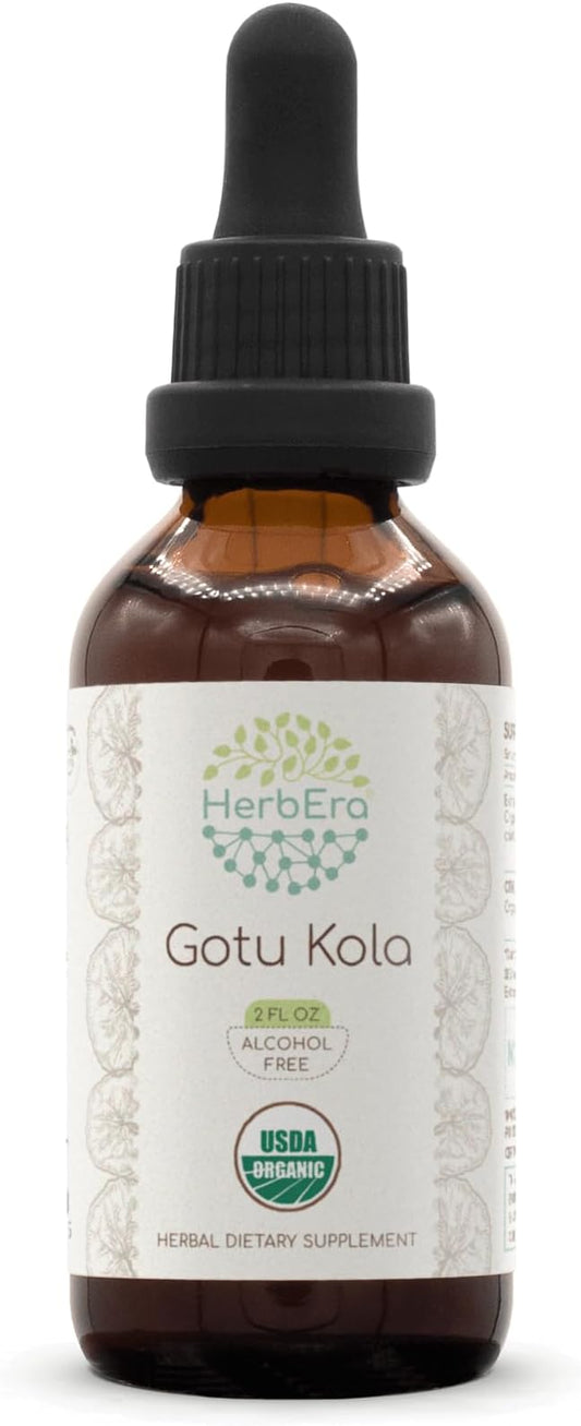 Gotu Kola B60 USDA Organic Tincture | Alcohol-Free Extract, High-Potency Herbal Drops | Certified Organic Gotu Kola (Centella asiatica) Dried Herb (2 oz)