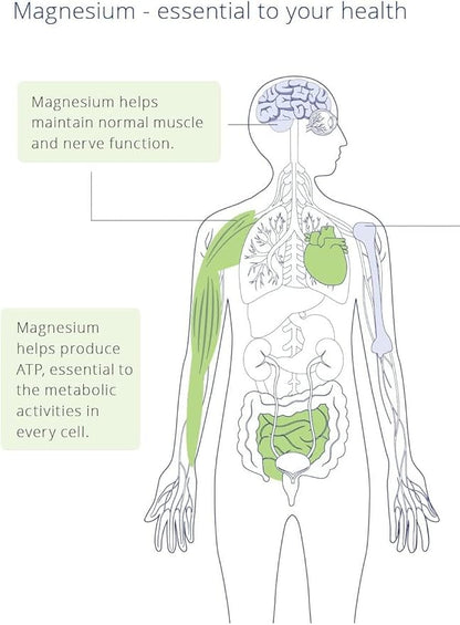 CanPrev Magnesium Bis-Glycinate Gentle 200mg, 120 V-Caps 120-Day Supply - Pure Elemental Magnesium Supplement, Supports Bone and Muscle Function, Gentle on Stomach, Perfect for Daily Magnesium Needs