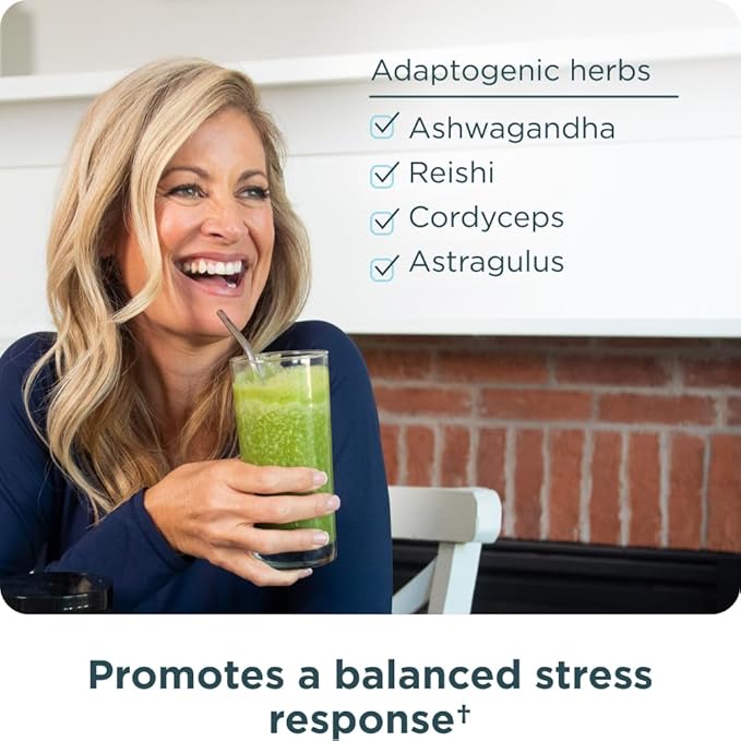 Ancient Nutrition Super Greens Powder, Organic Superfood Powder with Probiotics Made with Spirulina, Chlorella, Matcha, and Digestive Enzymes, 25 Servings, 7.5oz