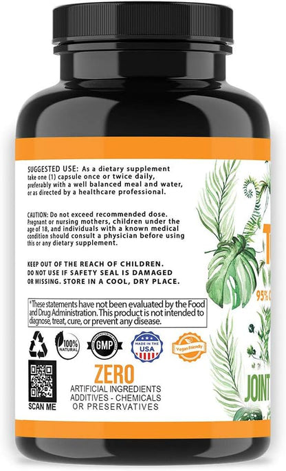 Vegan Turmeric Curcumin with Black Pepper Extract (60 Veggie Capsules-2 Month Supply), 95% Curcuminoids - All Natural Powerful Antioxidant for Joint Support and Relief (1-Bottle)